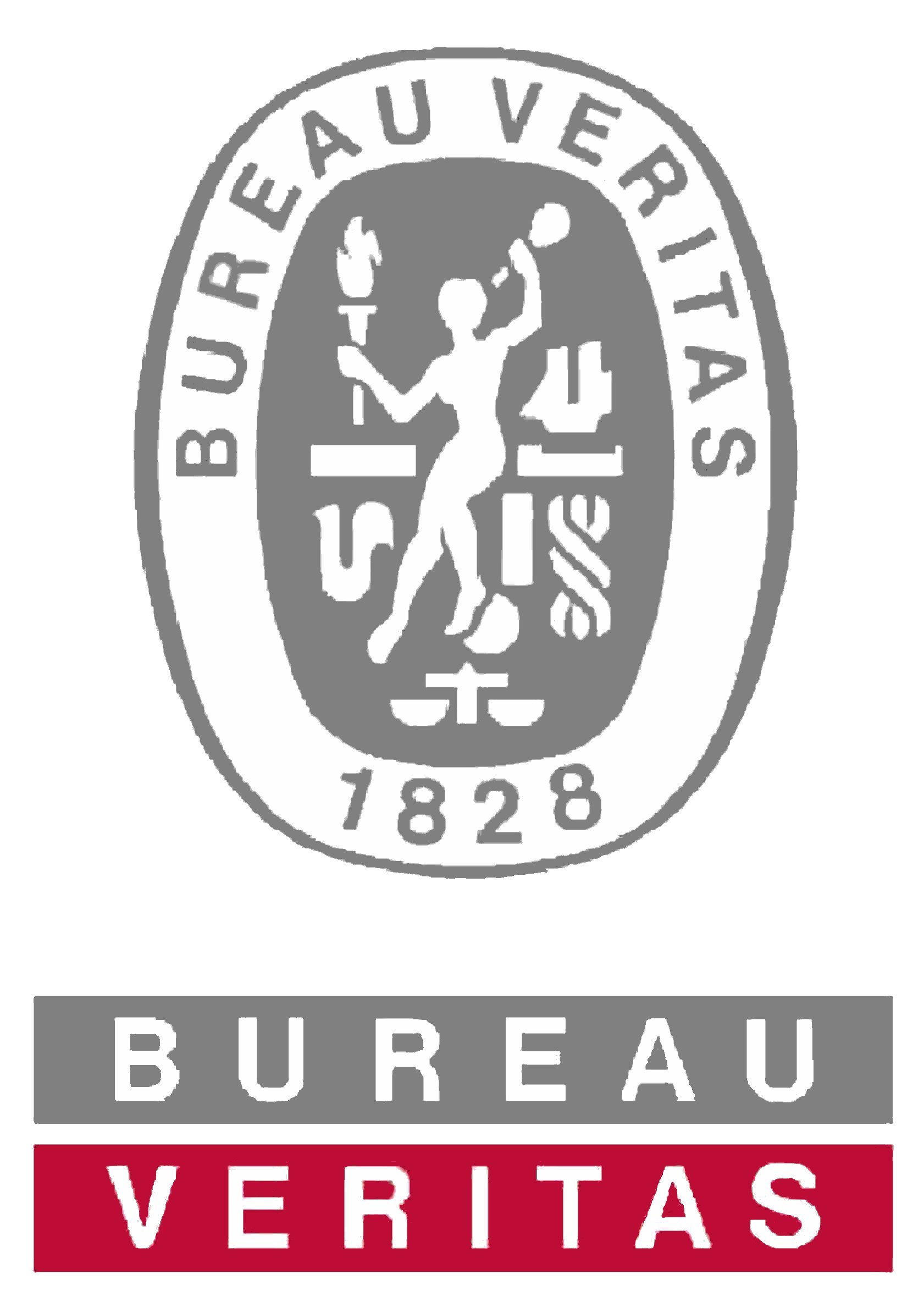 BV Logo